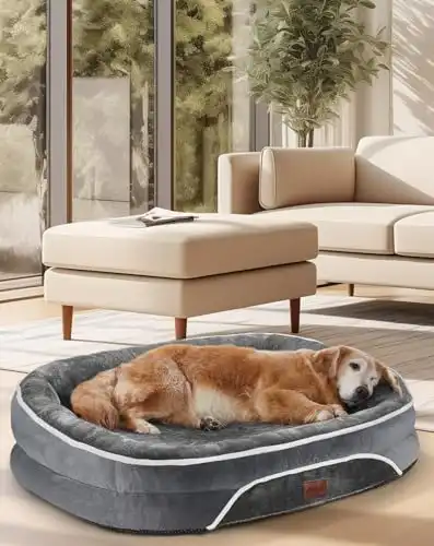 Orthopedic Dog Bed with Egg Foam Support, Soft Tear-Resistant Fabric